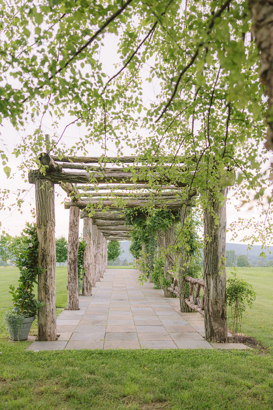 The Pergola at LionRock Farm