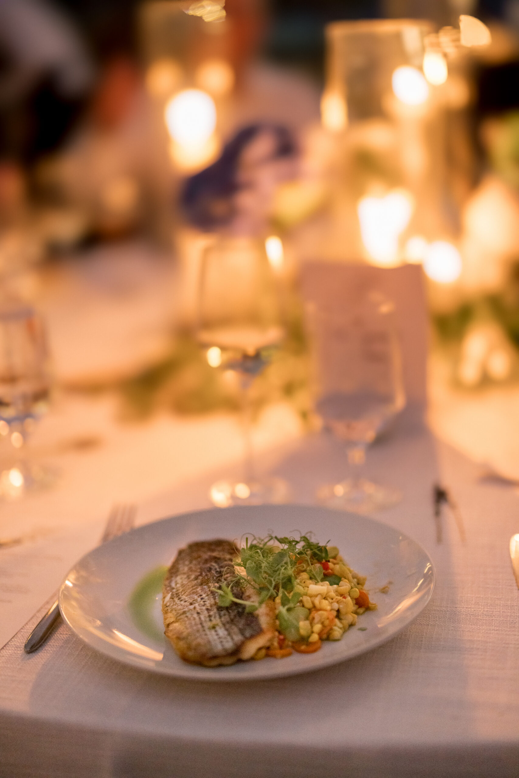 Guest Dining at LionRock Farm Wedding