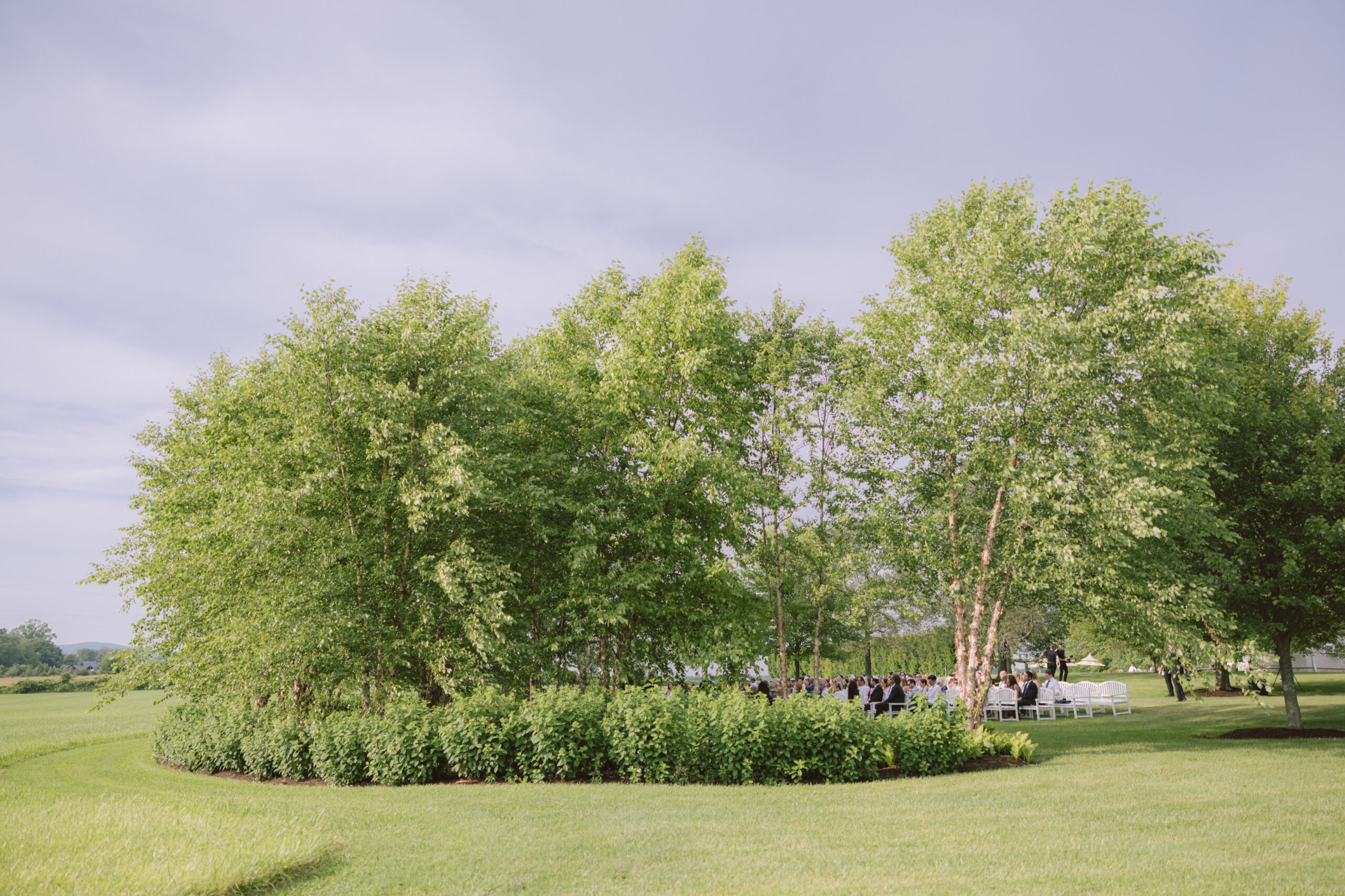 Outdoor Wedding Ceremony at The Birch Grove at LionRock Farm