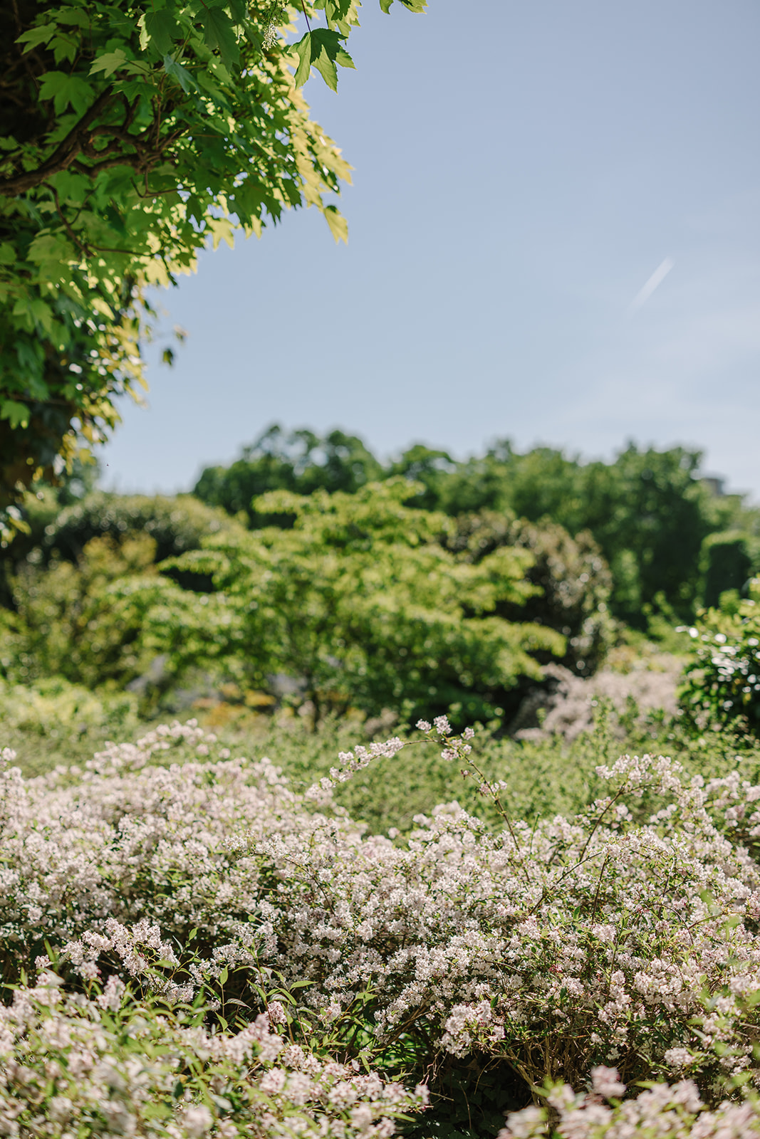 Scenic Views of Garden at Musée Rodin in Paris During Spring