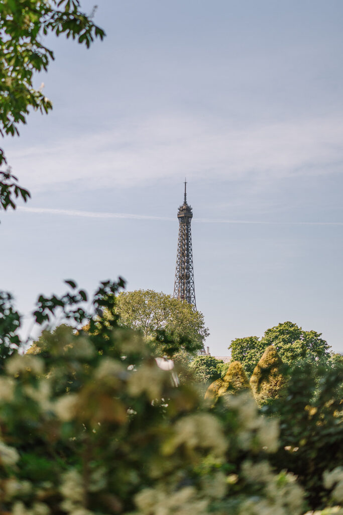 Views of Eiffel Tower from Musée Rodin in Paris