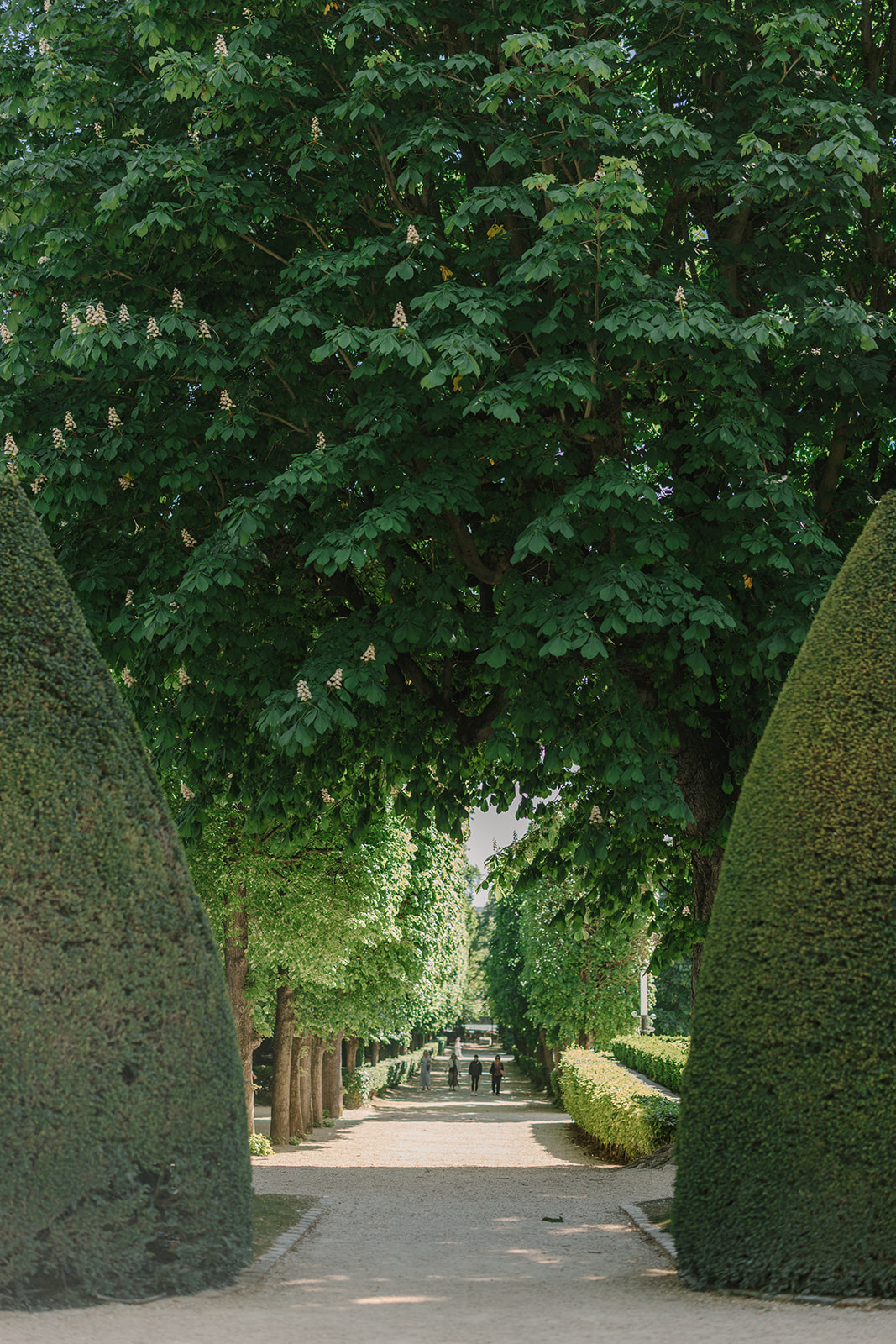Walkways of Gardens at Musée Rodin in Paris France